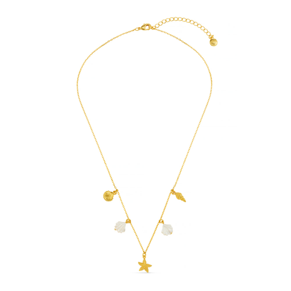 Mixed Shell & Starfish Charm Necklace - Image 4